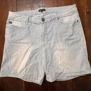 Dear John Light Blue Striped Women's Shorts Women’s 31